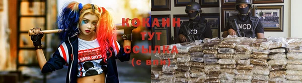 прущие крисы Абинск