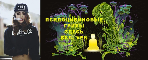 крисы Абдулино