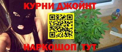 крисы Пенза