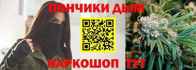крисы Пенза