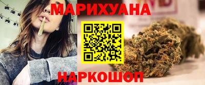 крисы Пенза