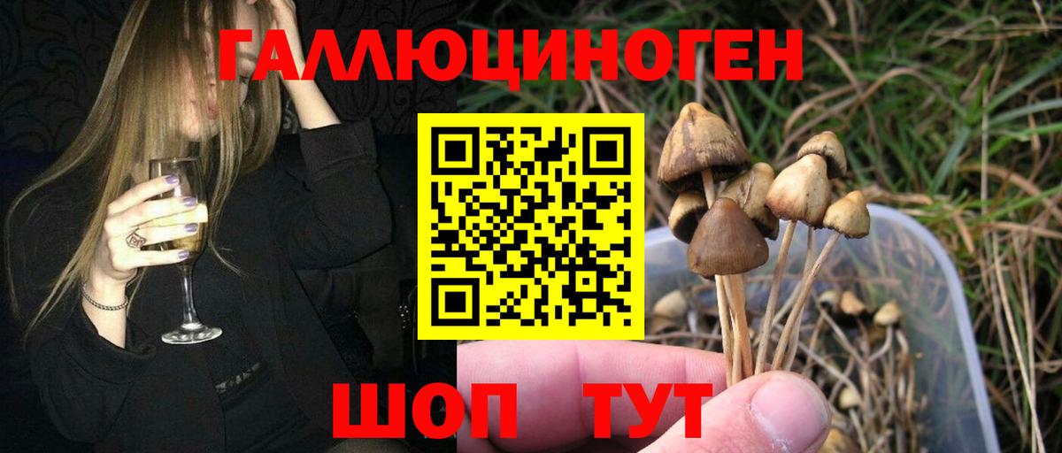 Якутск  цена   Вход с VPN  Галлюциногенные грибы мицелий 